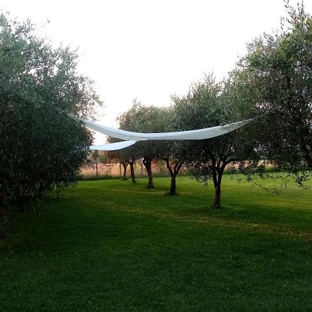 Vecchio Casale Margherita Camaiore Eksteriør billede