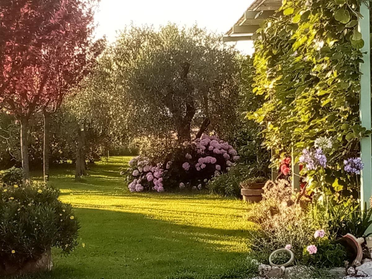 Vecchio Casale Margherita Camaiore Eksteriør billede